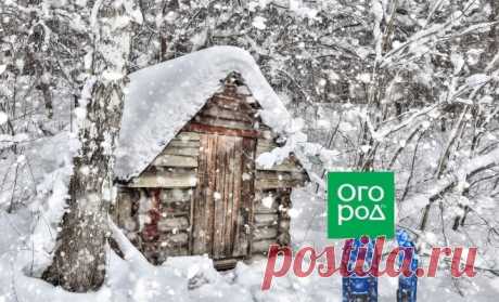 Не открывается дверь на даче – 5 самых распространенных причин и секреты устранения проблемы | Полезно (Огород.ru)