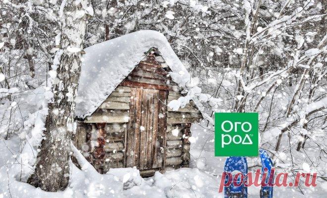 Не открывается дверь на даче – 5 самых распространенных причин и секреты устранения проблемы | Полезно (Огород.ru)