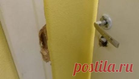 Ребенок упал со второго этажа в развлекательном центре в Карелии За дверью пожарного выхода оказалась пропасть.Инцидент случился на днях в детском развлекательном центре "Космолэнд" в Костомукше. Историю изданию "64 параллель" рассказала мать пострадавшего ребенка.  По словам женщины, она привела своего четырехлетнего сына на детский день рождения,