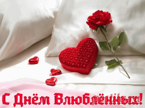 С Днём влюблённых поздравляю
И любви такой желаю,
Чтобы, как метель, кружила
И на жизнь давала силы!