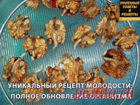 Одноклассники