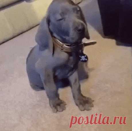 Когда вернулся рано утром и выслушиваешь претензии...