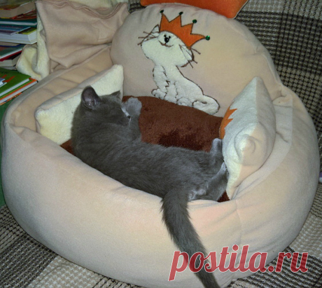 Королевский  диванчик для кота. Авторская работа.