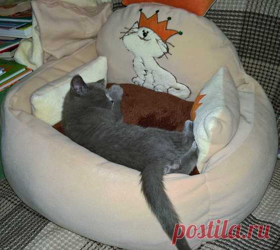 Королевский  диванчик для кота. Авторская работа.