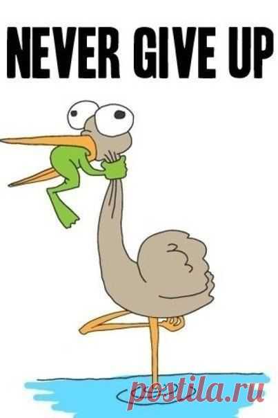 Фразы для подбадривания / Неформальный Английский