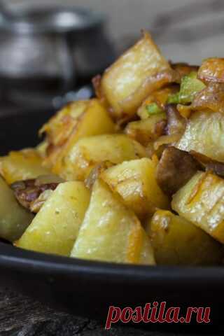 Рагу с кабачками, грибами и картошкой — Лайфхакер