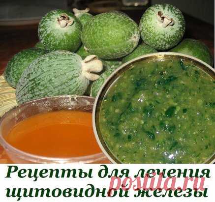 Рецепты для лечения щитовидной железы
1. 1 кг сахара и 1 кг фейхоа пропустить через мясорубку, переложить в банку и дать настояться. Сахар должен полностью раствориться, а фейхоа дать сок. Принимать эту смесь по 1 ст. ложке утром и вечером. Принимать 10 дней, затем перерыв 10 дней.
2. Можно чередовать со следующим рецептом: 1 стакан перегородок грецких орехов залить 0,5 л водки и 10 дней настоять. Пить по 1 ч. ложке утром перед едой. 10 дней пить, 10 дней — перерыв. Месяц ...