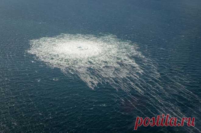 Стали известны имена прикрывших подрыв Северных потоков украинских дайверов. Организационную и техническую помощь украинцам оказывали специалисты из США.