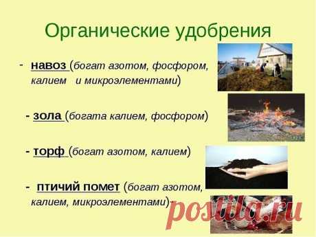 Одноклассники