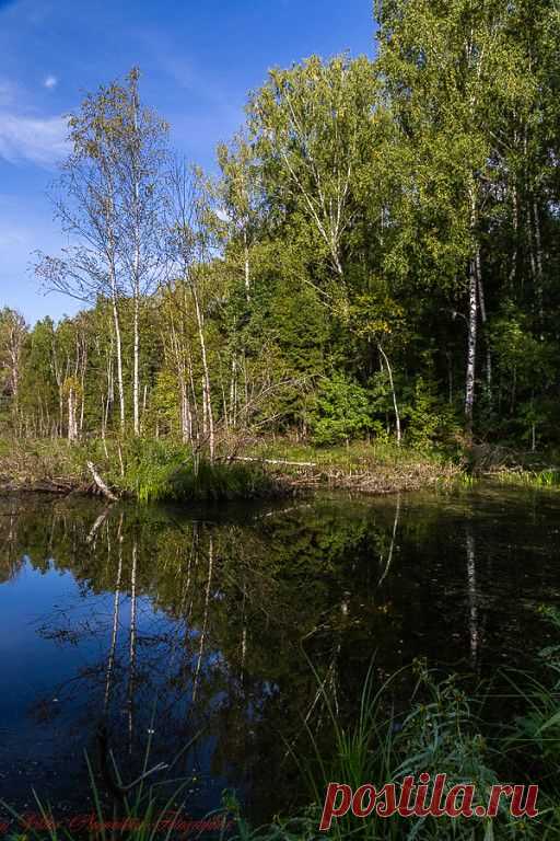 ФОТОМАСТЕРСКАЯ ПРИРОДЫ
Виктор Ноговицин