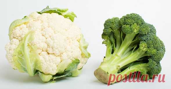 Какие 8 продуктов нельзя разогревать в микроволновке — Домашние заботы