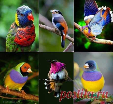 (101) Facebook