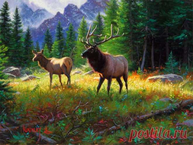 M.Keathley