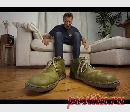 идеи для фотошопа приколы: 14 тыс изображений найдено в Яндекс.Картинках