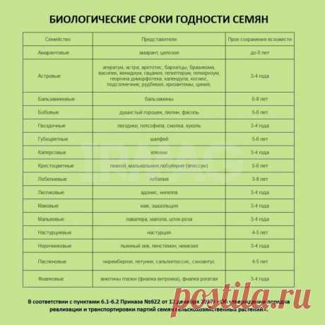 Семена Поиск Профи Петуния ампельная F1 Изи Вейв Роузи Дон (5 шт.) - IRMAG.RU
