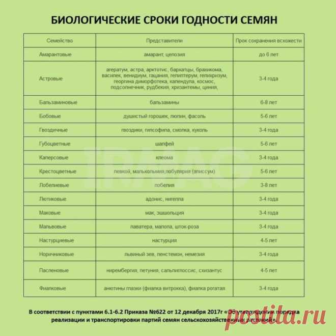 Семена Поиск Профи Петуния ампельная F1 Изи Вейв Роузи Дон (5 шт.) - IRMAG.RU