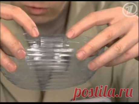 Самодельная мышеловка из пластиковой бутылки