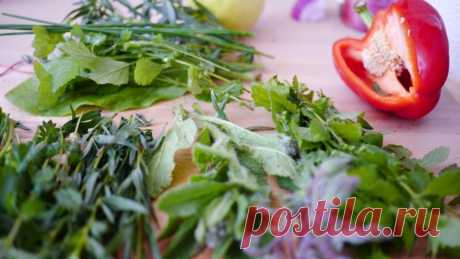 Болгарская диета на лето – минус 8 кг за 2 недели | SimpleSlim