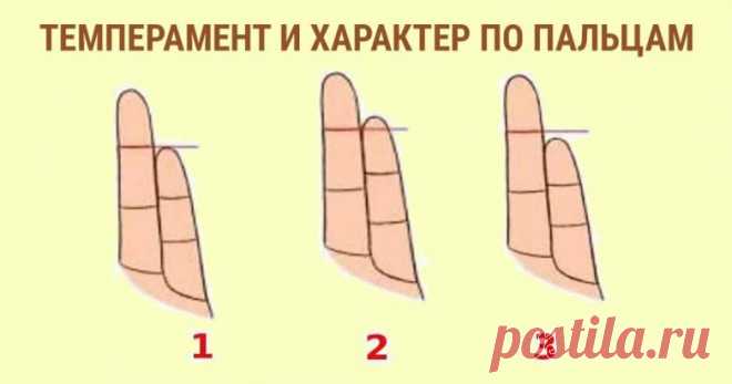Как определить темперамент и характер человека по пальцам? / Мистика