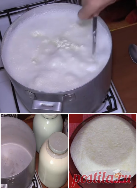 Брынза из молока в домашних условиях - лучший сайт кулинарии