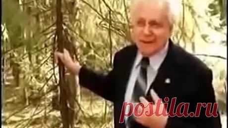 Как лечиться вылечиться и жить. Скрываемая правда.