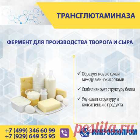 Трансглютаминаза (ТГ) - фермент, органический катализатор химических реакций, связывает белковые молекулы, образуя новые связи между аминокислотами, тем самым стабилизируя структуру белка. Фермент трансглютаминаза для молочных продуктов способен связывать между собой сывороточные белки в единую сеть и не позволяет им распадаться. Трансглютаминазу рекомендуется использовать в молочной промышленности при производстве йогуртов, кефира, простокваши, творога, сыров, сметаны, мороженого.