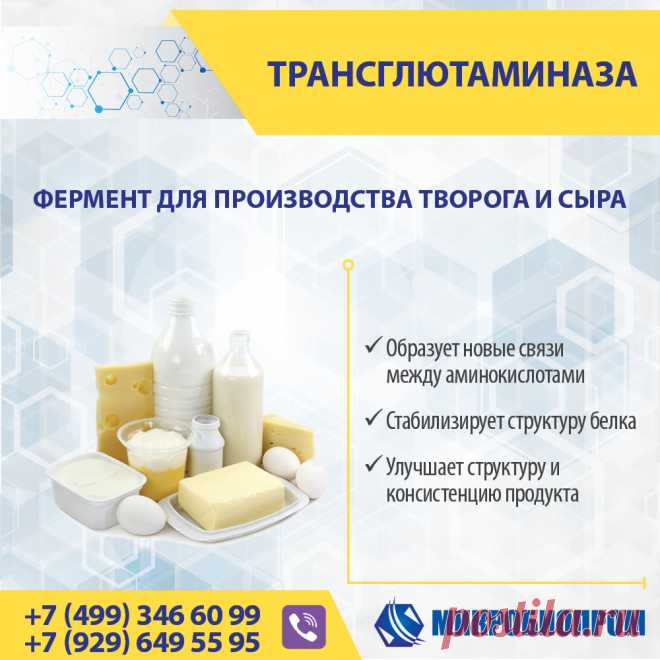 Трансглютаминаза (ТГ) - фермент, органический катализатор химических реакций, связывает белковые молекулы, образуя новые связи между аминокислотами, тем самым стабилизируя структуру белка. Фермент трансглютаминаза для молочных продуктов способен связывать между собой сывороточные белки в единую сеть и не позволяет им распадаться. Трансглютаминазу рекомендуется использовать в молочной промышленности при производстве йогуртов, кефира, простокваши, творога, сыров, сметаны, мороженого.