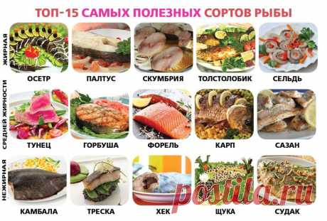Кладезь полезных шпаргалок для кулинара