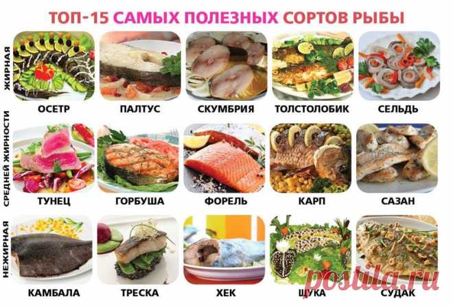 Кладезь полезных шпаргалок для кулинара