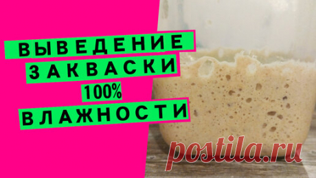 Выведение пшеничной закваски 100% влажности: пошаговое видео [универсальная закваска для хлеба]