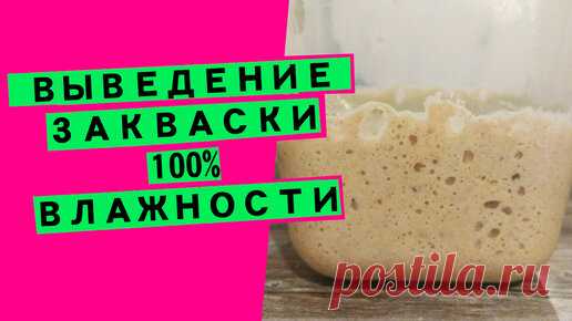 Выведение пшеничной закваски 100% влажности: пошаговое видео [универсальная закваска для хлеба]