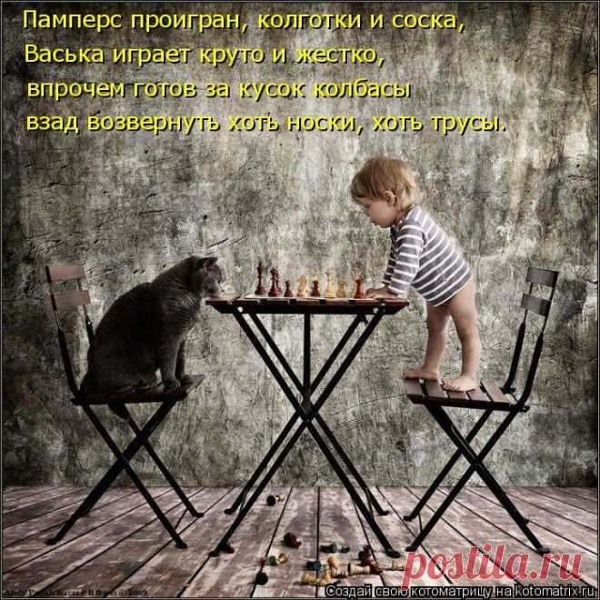 Котоматрица: Круть