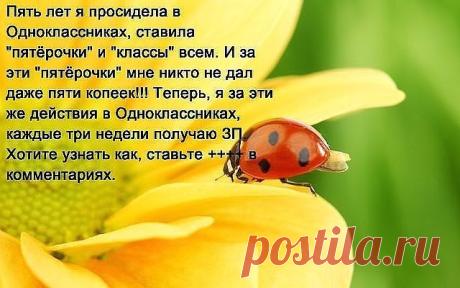 Приглашаю в свою компанию активных людей для построения бизнеса в сети интернет! Компании 45 лет-легальность доказана временем! Хотите узнать подробнее...