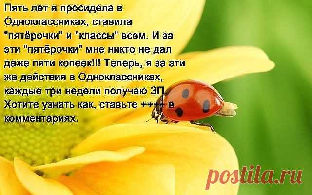 Приглашаю в свою компанию активных людей для построения бизнеса в сети интернет! Компании 45 лет-легальность доказана временем! Хотите узнать подробнее...