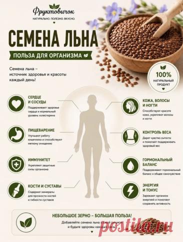 Семена льна польза для организма