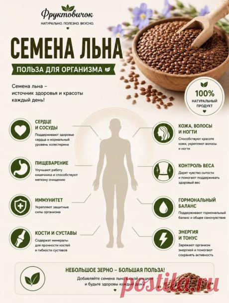 Семена льна польза для организма