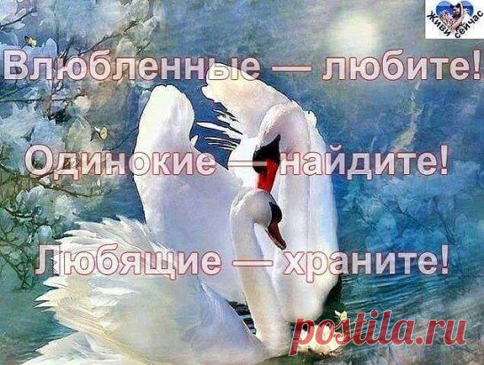 (40) Одноклассники