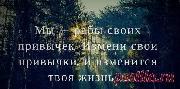 Видео | Бизнес | Реклама