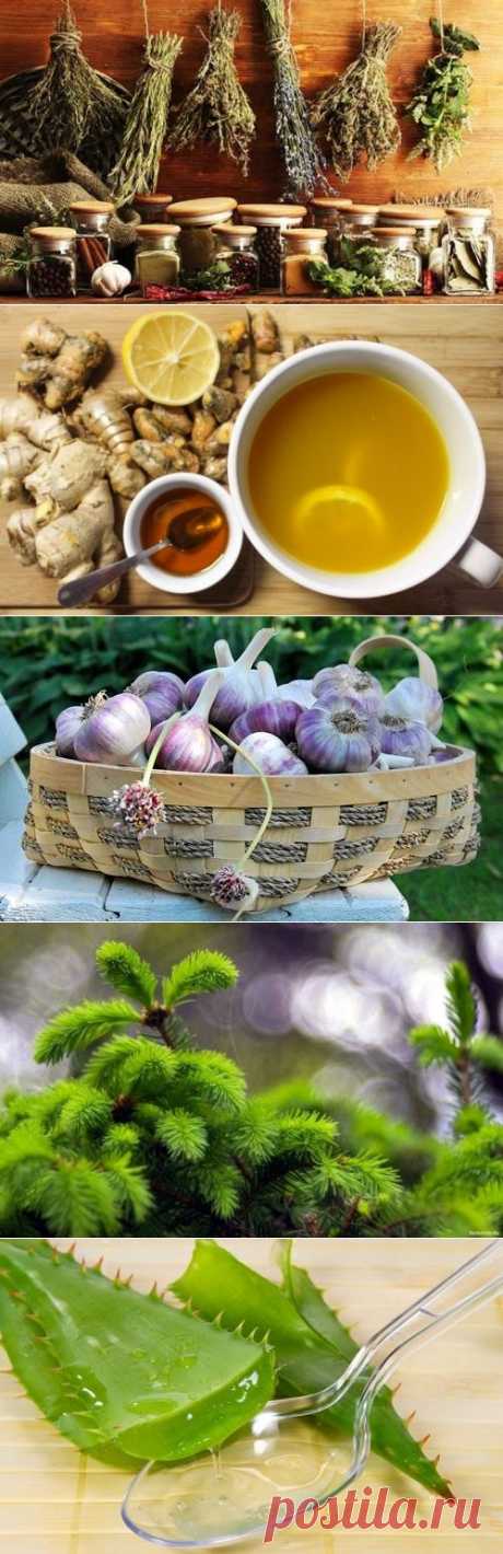 Народная медицина против вирусов и простуды / Будьте здоровы