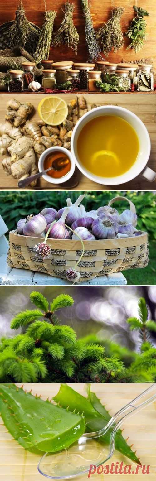 Народная медицина против вирусов и простуды / Будьте здоровы