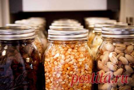 Как спасти продукты от пищевой моли: 6 советов - KitchenMag.ru