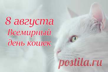 Тихо так мурлычет кошка,
Ты погладь ее немножко,
Жизнь ведь делать веселее
Эти кошечки умеют.