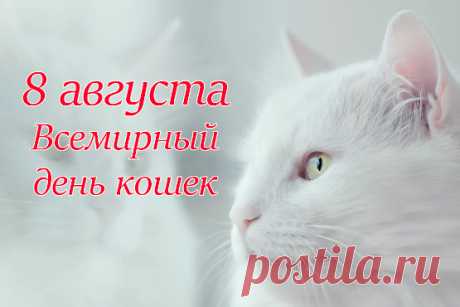 Тихо так мурлычет кошка,
Ты погладь ее немножко,
Жизнь ведь делать веселее
Эти кошечки умеют.