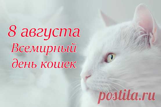 Тихо так мурлычет кошка,
Ты погладь ее немножко,
Жизнь ведь делать веселее
Эти кошечки умеют.