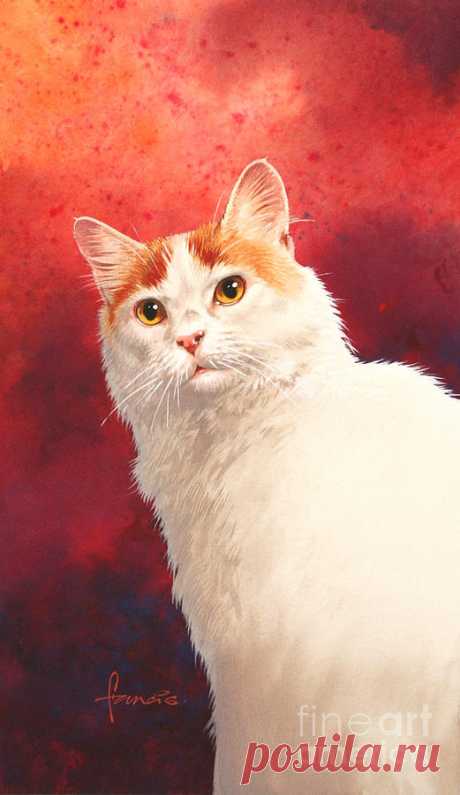 Van Cat by MGL Meiklejohn Graphics Licensing Van Cat Painting by MGL Meiklejohn Graphics Licensing