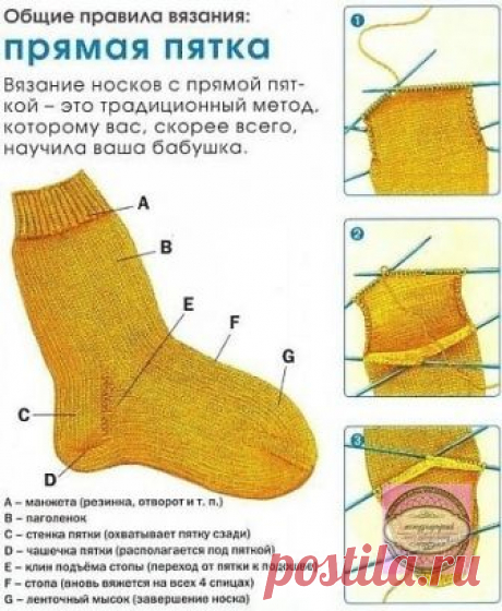 Виды пяток в табличках и картинках. Пополняем копилки.