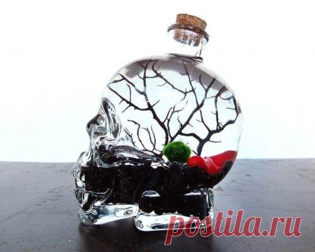 Миниатюрный аквариум как элемент декора ~ Planetalsad