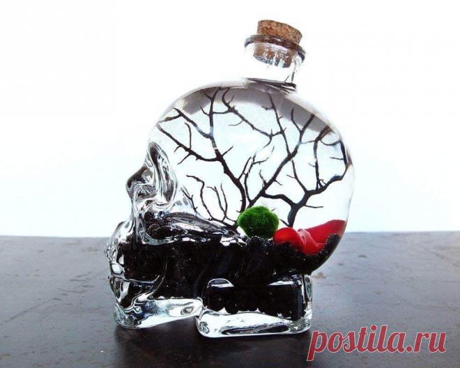 Миниатюрный аквариум как элемент декора ~ Planetalsad