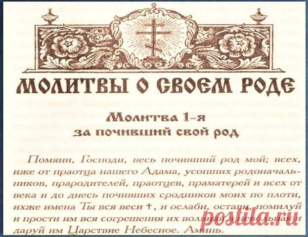 (2) Одноклассники