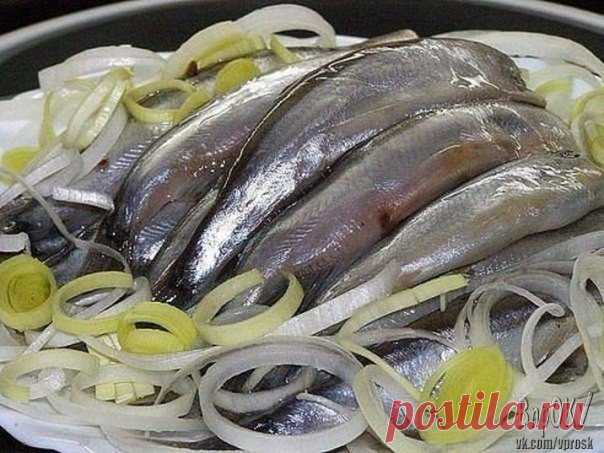 Мойва слабосоленая - очень вкусно!

Мойву промыть и сложить в банку.

Приготовить рассол :
Показать полностью…